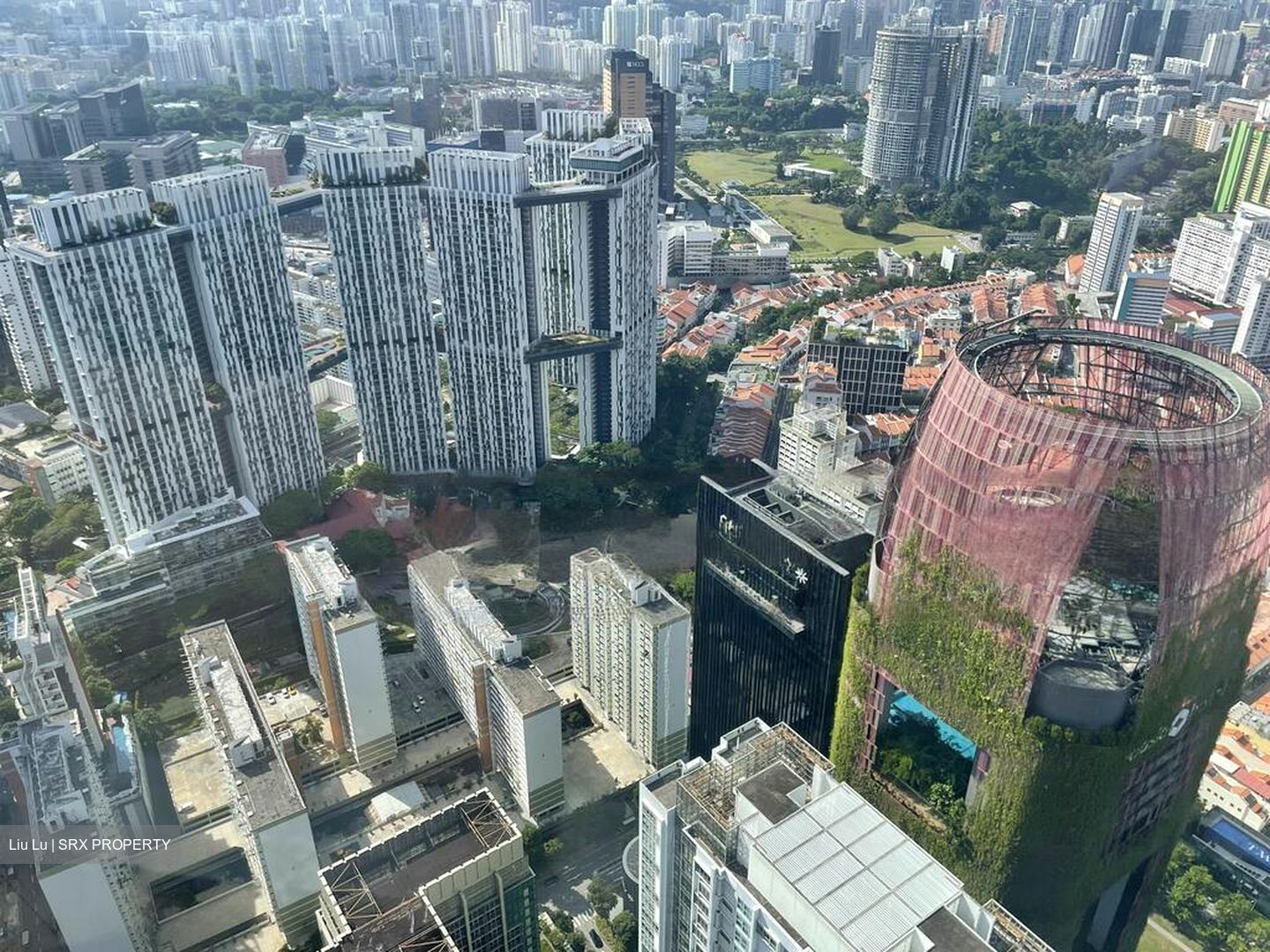 Skysuites@Anson (D2), Apartment #461042721